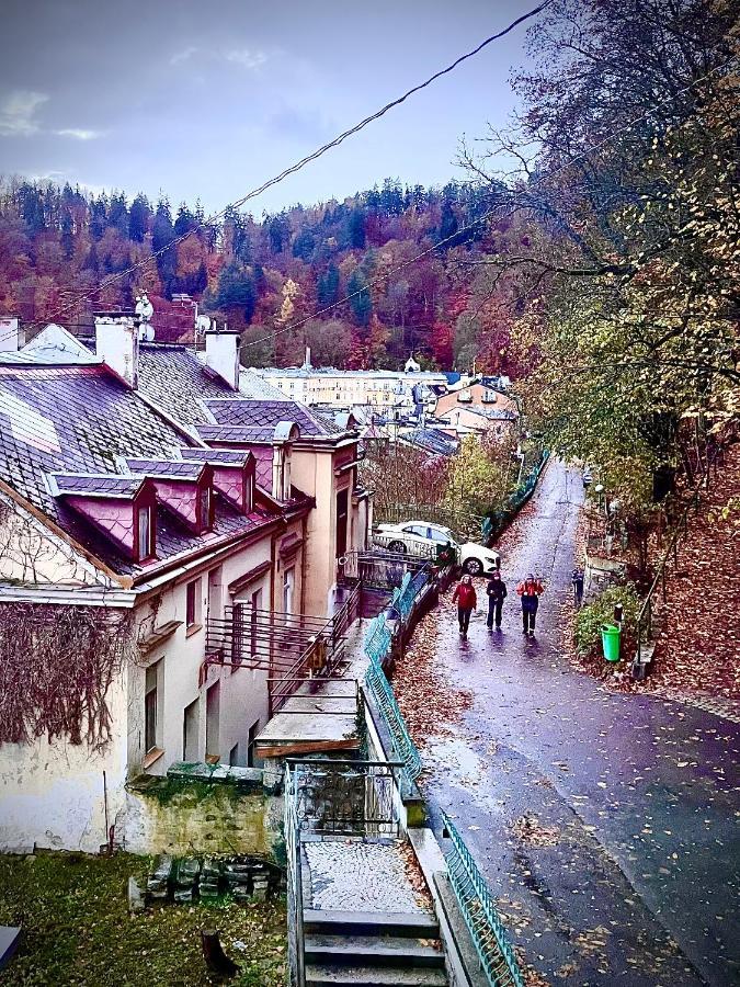 Sunny City - Apartment In Spa Zone With Private Garage Karlovy Vary Kültér fotó