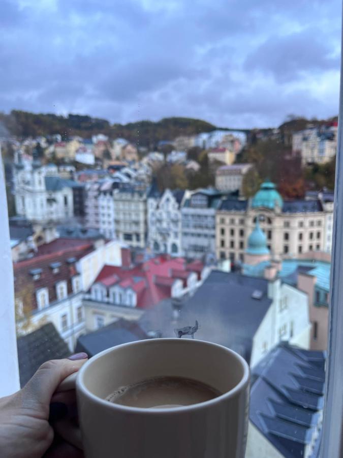 Sunny City - Apartment In Spa Zone With Private Garage Karlovy Vary Kültér fotó